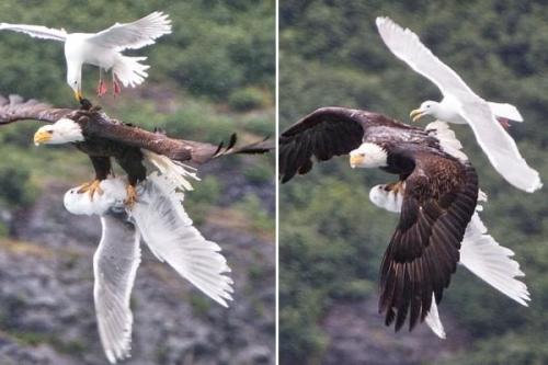 9D822535-B793-449D-B163-454F358727FE