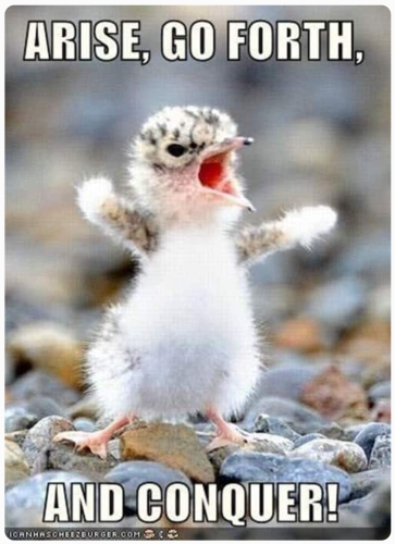 Screenshot_20220420-191819