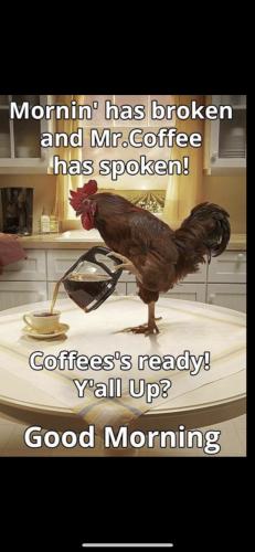 29000082-6E81-4A0E-9277-E43534394F9C