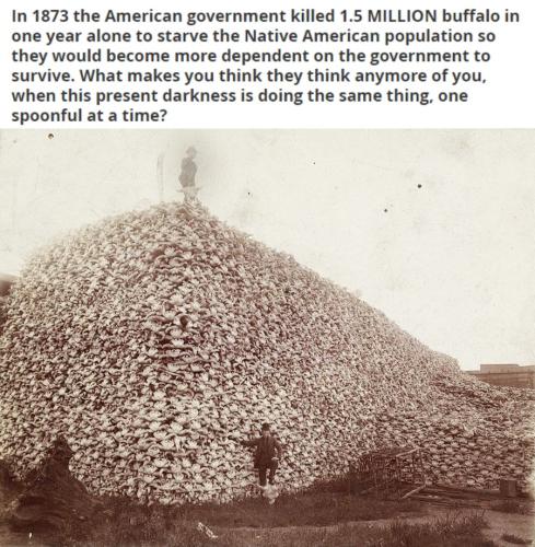 This present darkness buffalo skulls 1873