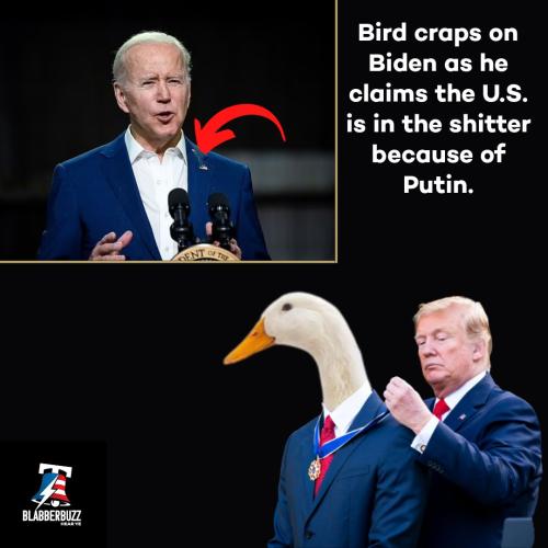 Best Meme ever