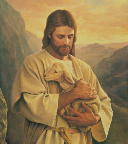 Screenshot_20220417-190053~2