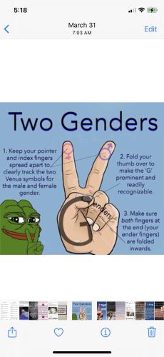 67ae2092-864a-46af-9900-b955d77b13a0