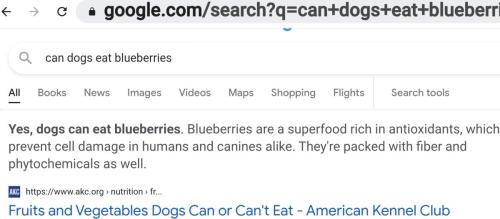 Screenshot_20220405-152114_Chrome