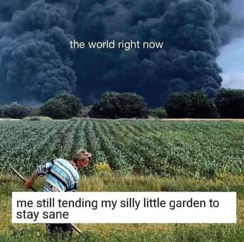 WorldNowMeStillTendingGardenSane