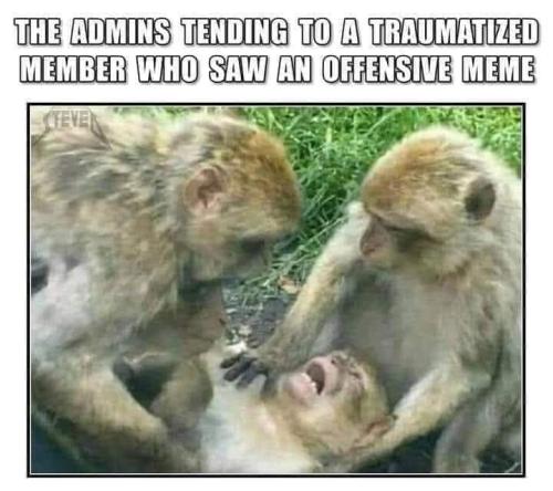 FB traumatized