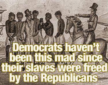 dems & their slaves