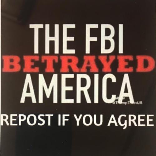 0A868512-B9E4-418C-8F68-E0F8AE38F730