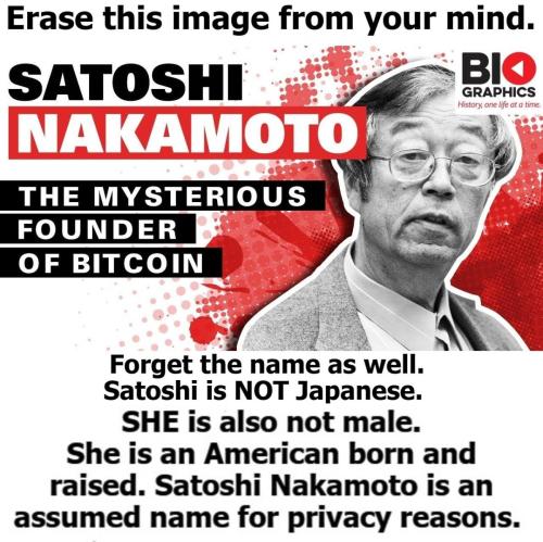 Satoshi Nakamoto FAKE