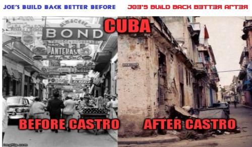 build back better