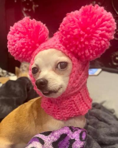 DF0564A2-B085-4C39-9A1E-DFB06E541324