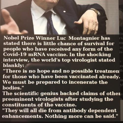 BA66319B-7A0F-463B-8BED-A7760FAC7419