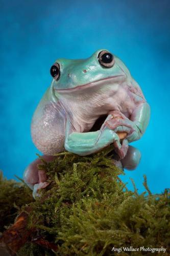 997F4707-DCC6-451C-A5A7-426809BBBAA3