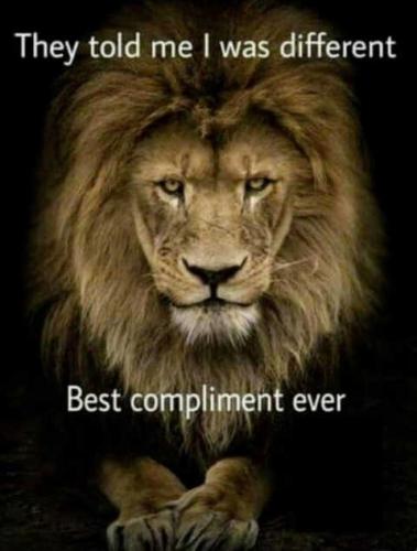 message-lion-different-best-compliment-ever