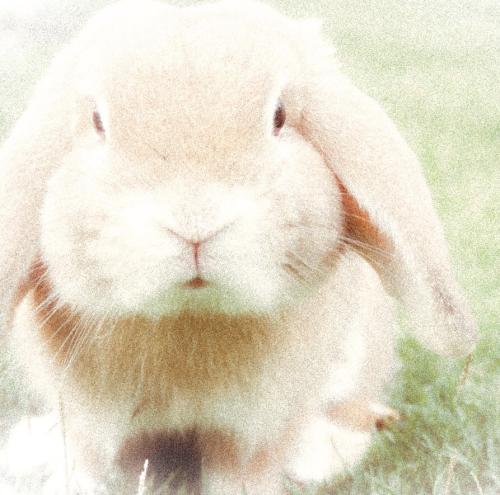 8E24C618-67A5-4D96-A5BE-4AE9D5F09B3F