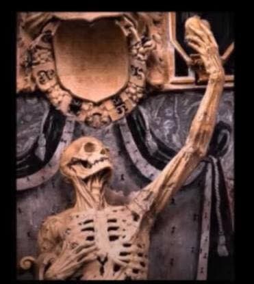 photo_2021-02-19_12-23-11