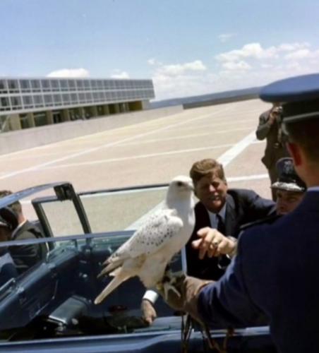 Screenshot_20220411-213913_Gallery