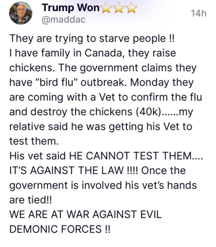 pleasewakeupbiforeitistolate