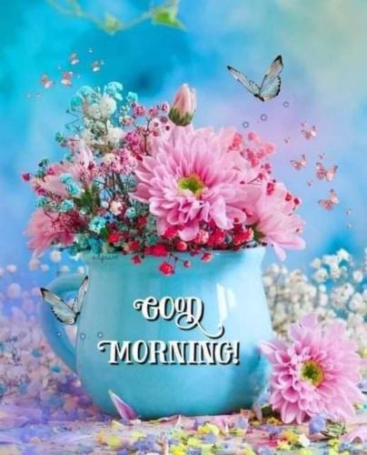 FB_IMG_1651198852276