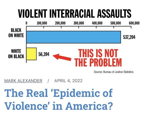 violent inter racial
