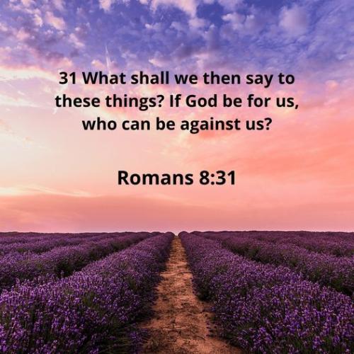 278100304_10220035267342484_6316517664347575993_n