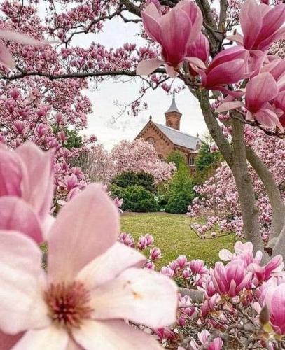 FB_IMG_1616686130612