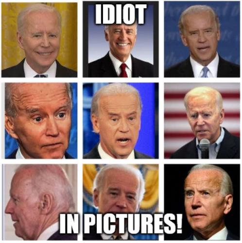 bidenidiotinpicswcap