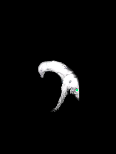 1581815560575