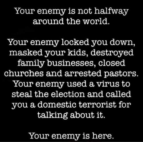 democrat thugs