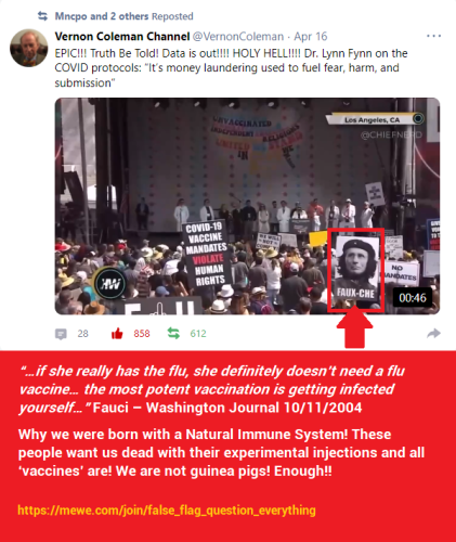 Immune System
