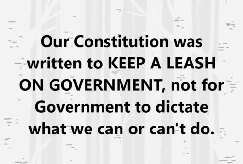 AA Constitution