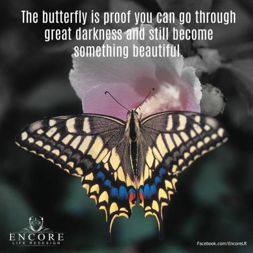 b1346a90-7e4f-4564-a781-f5c52c458318