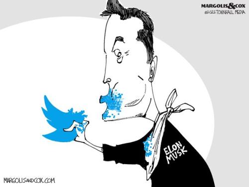 MC_Musk_web20220405113323