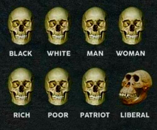 photo_2022-04-10_20-13-00