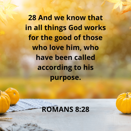 361DE3E6C43F2646E19229A0C82E6FDE.bible86-min