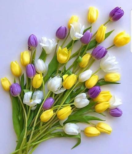 FB_IMG_1619708608852