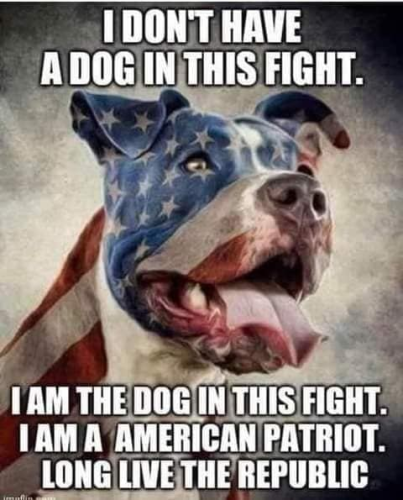 American Patriot