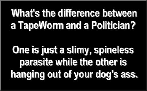 tapeworm