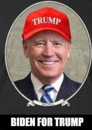 Biden for Trump (1)