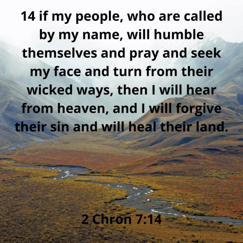 2118448AB671F8C2601951B5FD44EF45.bible71-min