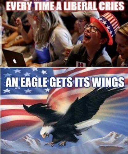EAGLE WINGS