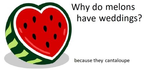 20220423 melons cantaloupe