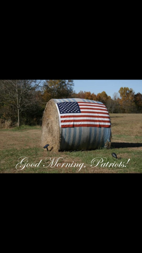 8696A00D-D8BC-4286-8835-D64FFCDABB4A