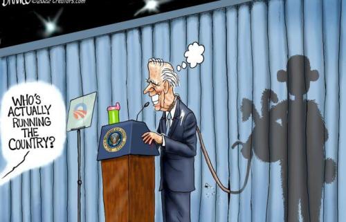 branco joebama bunny
