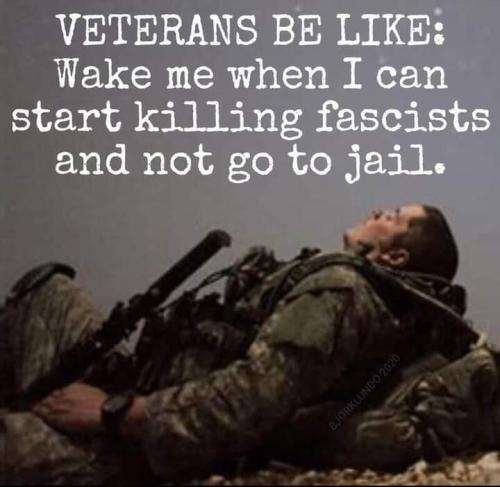 veterans be like call me when I can kill fascists without going to jail