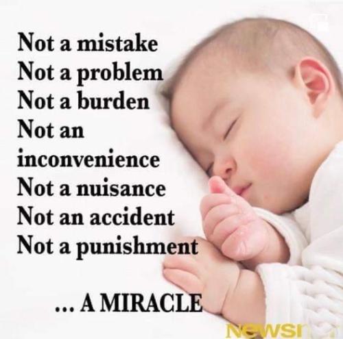 a213a8ed3340075114a5b72600c6f829_500x0