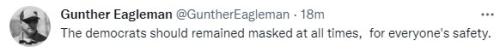 mask the dems