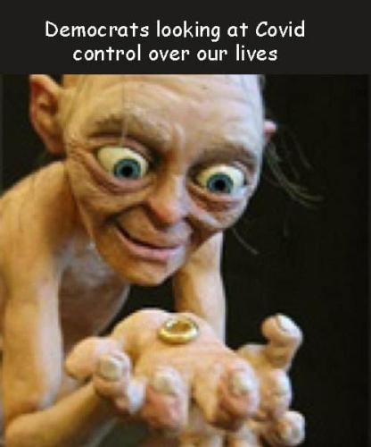 dems and covid control