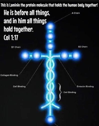 FB_IMG_1650653709423