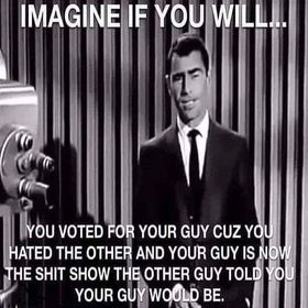 ImagineIfYouWillYouVotedForTheGuyCoz